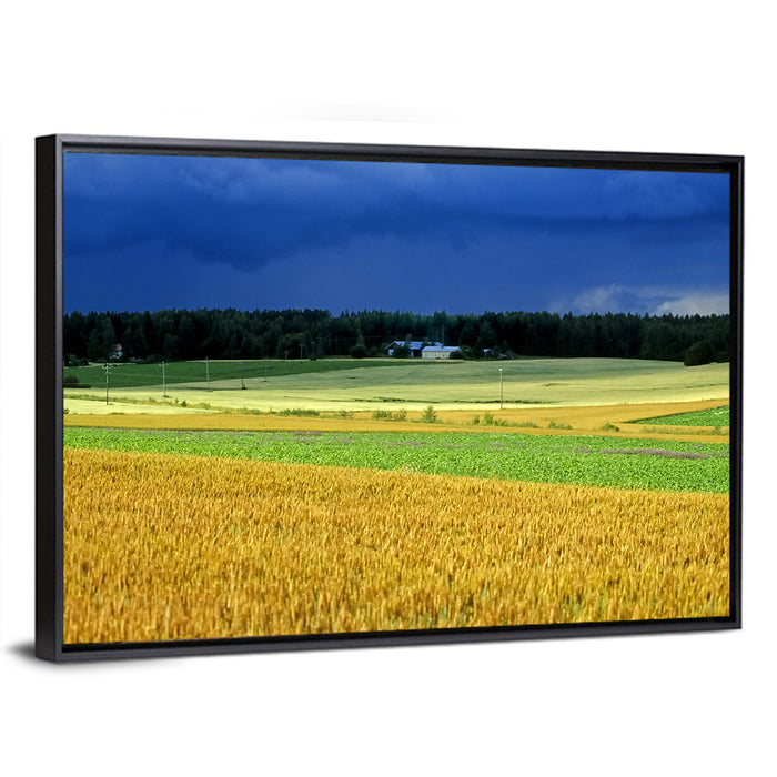 Cornfields Under Stormy Sky Wall Art as a framed canvas