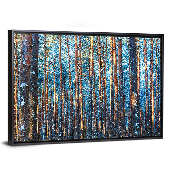 Golden Hour Winter Pine Forest Wall Art as a framed canvas