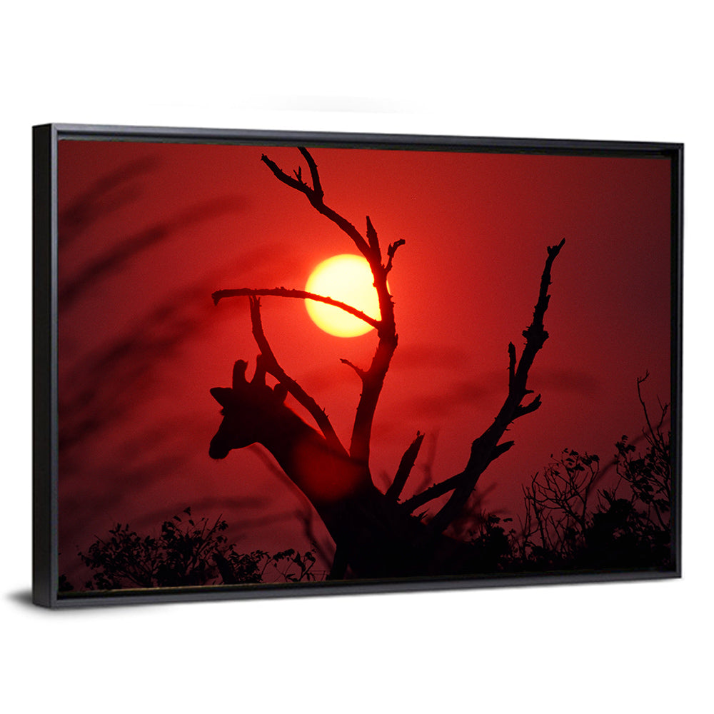 Giraffe Silhouette at Sunset Wall Art