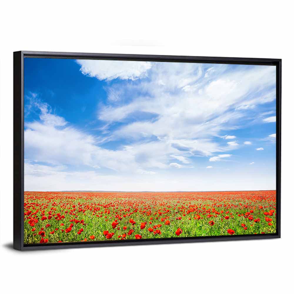 Red Poppy Field Wall Art