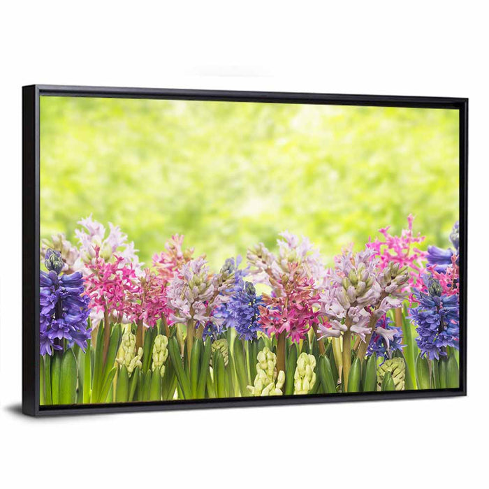 Hyacinth Cluster in Bloom Wall Art as a framed canvas