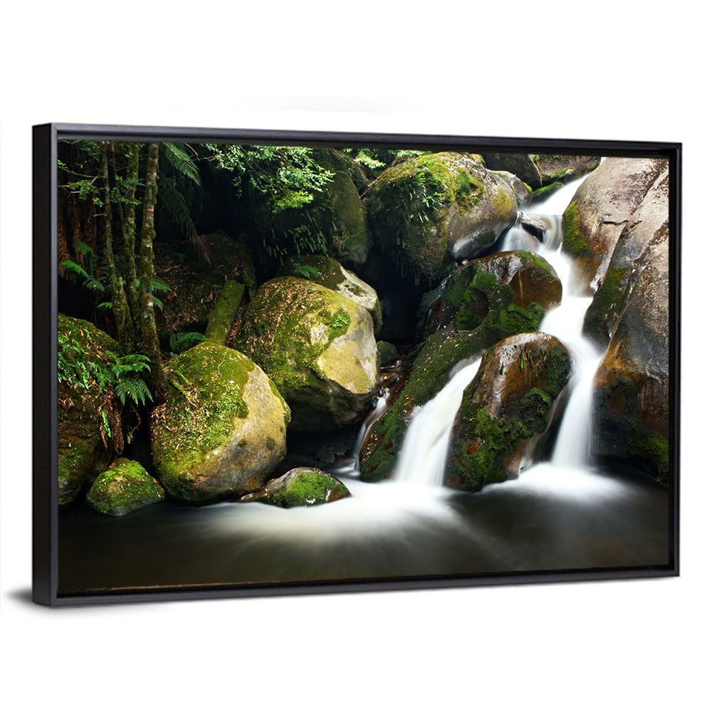 Rainforest Waterfall with Moss Covered Boulders Wall Art