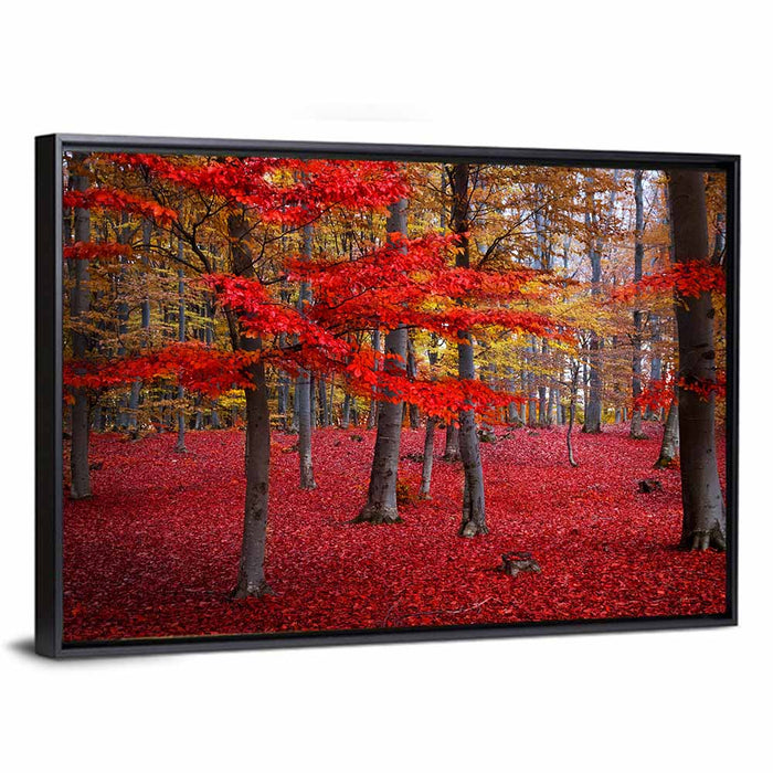 Crimson Autumn Forest Wall Art as a framed canvas