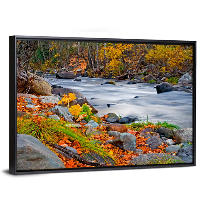 Golden Autumn Forest Creek Wall Art as a framed canvas
