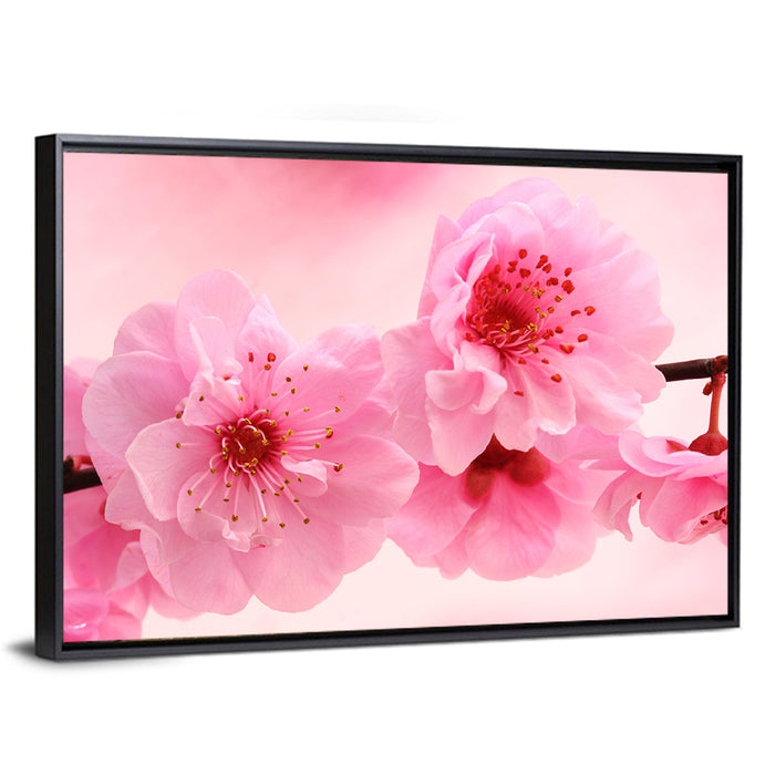 Cherry Blossom Branch Wall Art as a framed canvas
