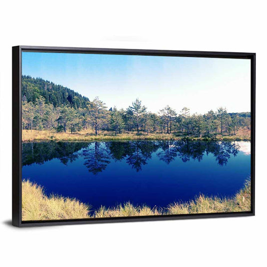Tundra Reservation Park Lake Wall Art