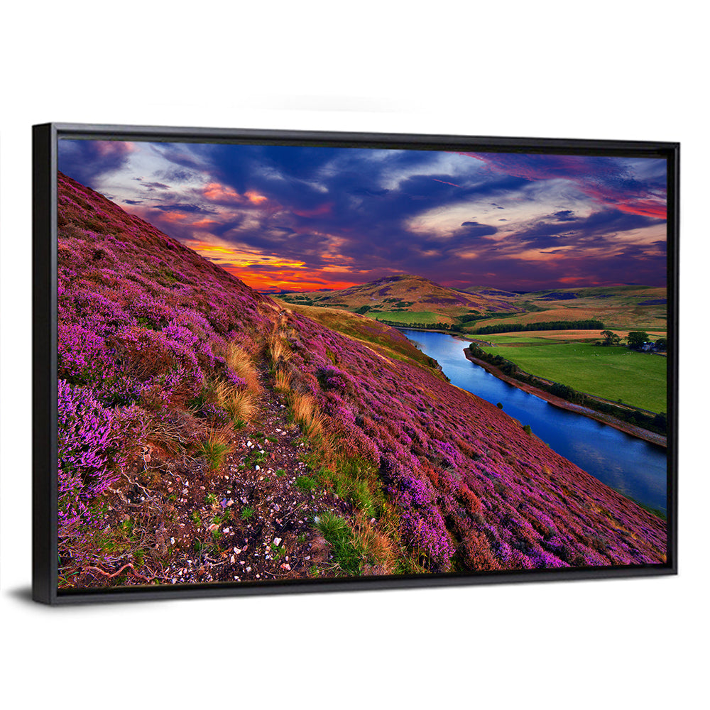 Pentland Hills Heather, Edinburgh Wall Art