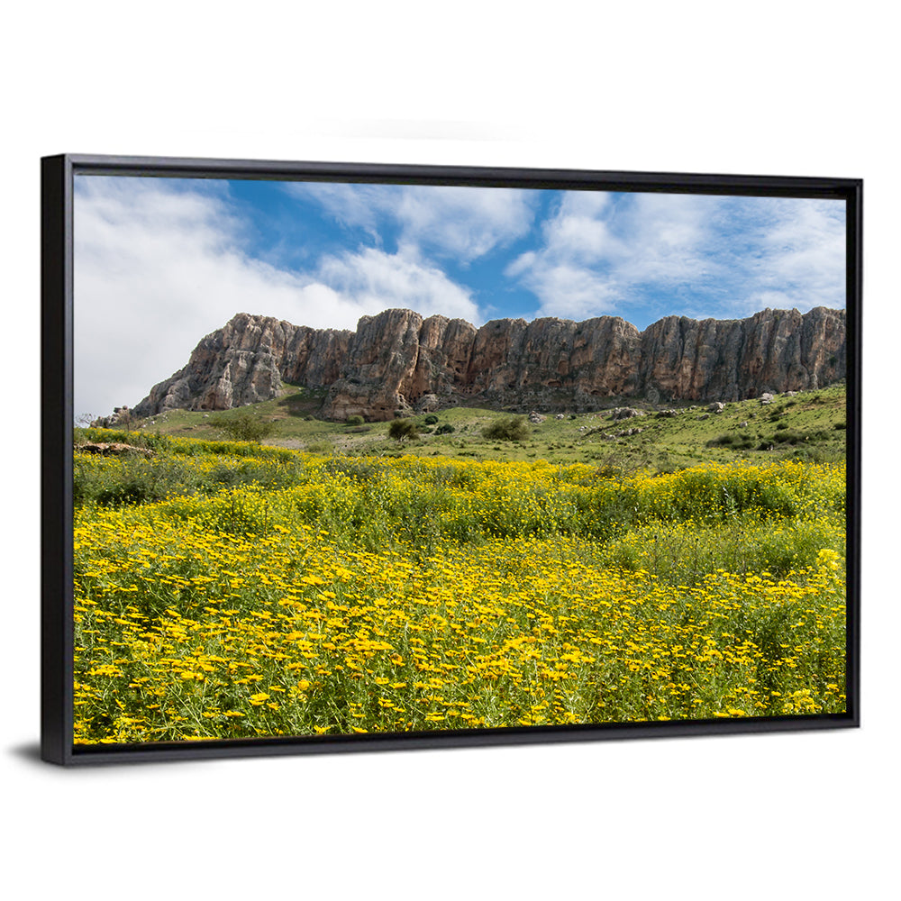 Mount Arbel Wildflower Meadow Wall Art