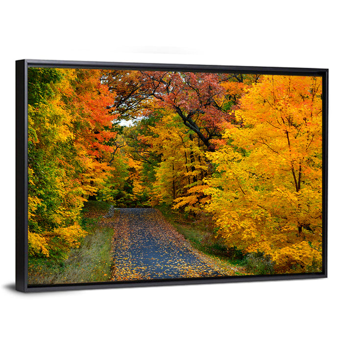 Autumn Road Through Wisconsin Park Wall Art as a framed canvas