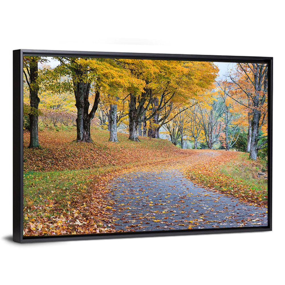 Autumn Leaves on Road Wall Art