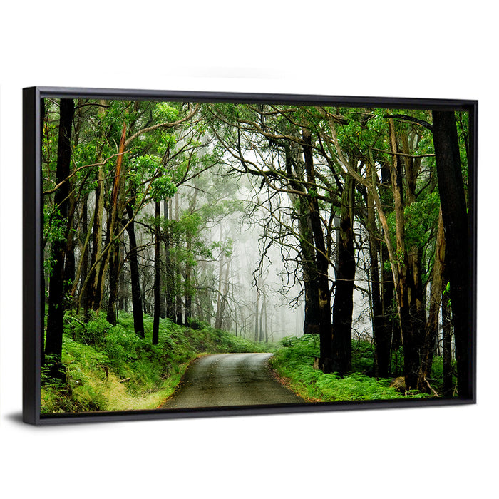 Misty Eucalyptus Road Wall Art as a framed canvas