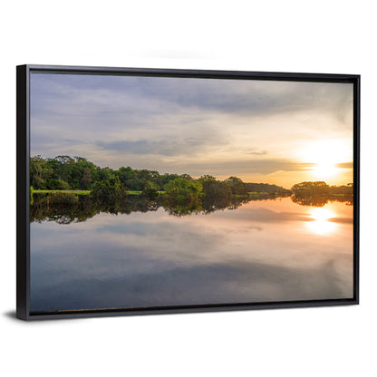 Amazon River Wall Art