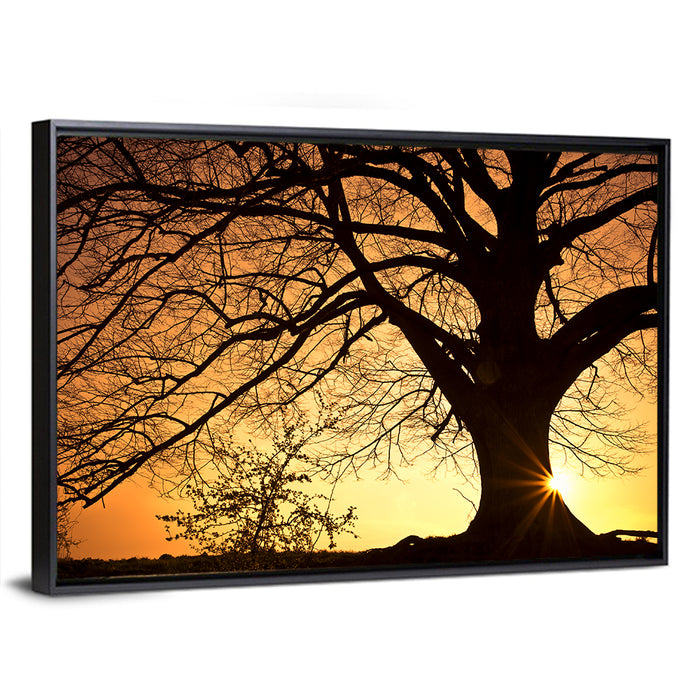 Willow Tree Sunset Wall Art as a framed canvas