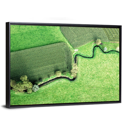 Meandering River Wall Art