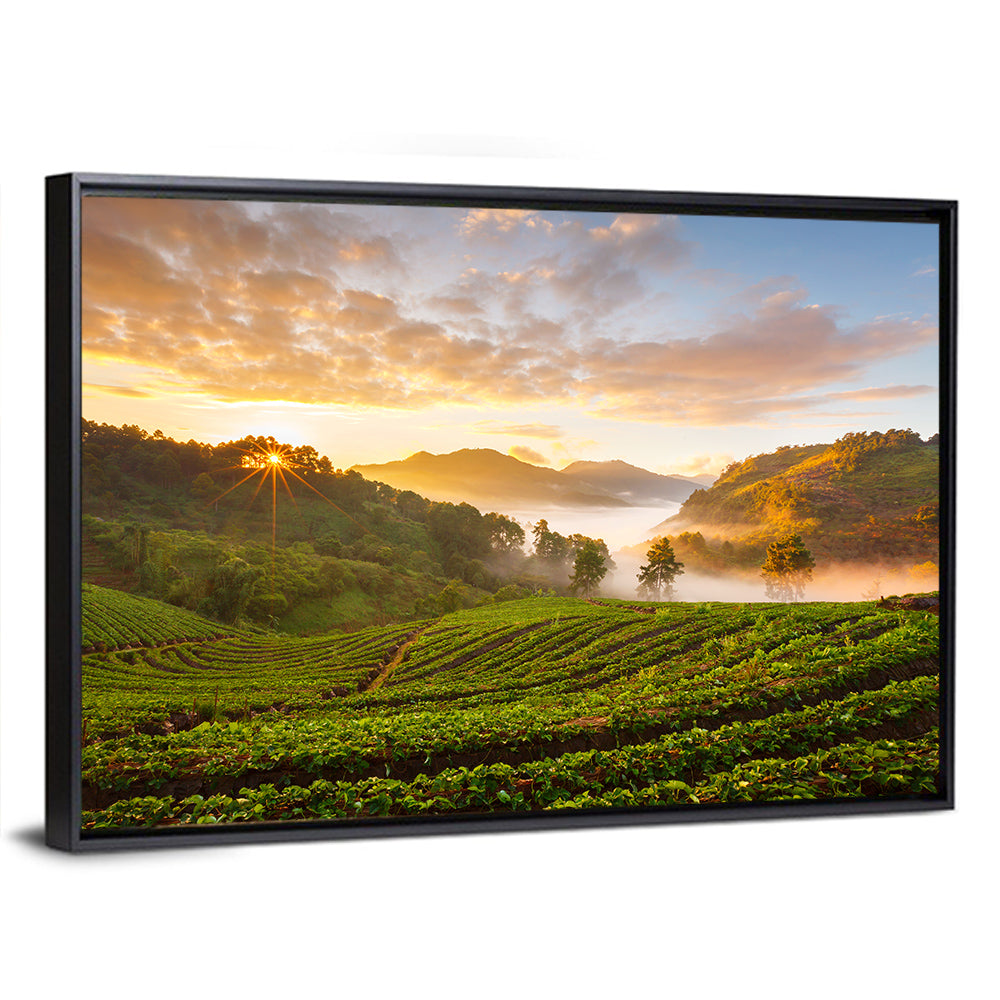 Strawberry Fields Sunrise Wall Art