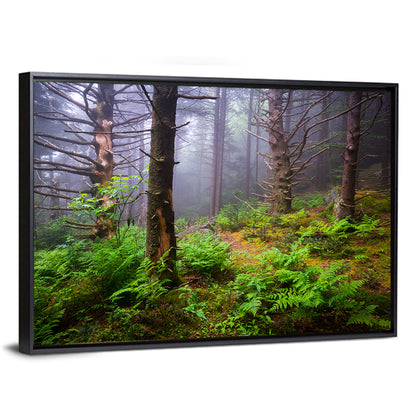 Forest Hiking Trail Wall Art