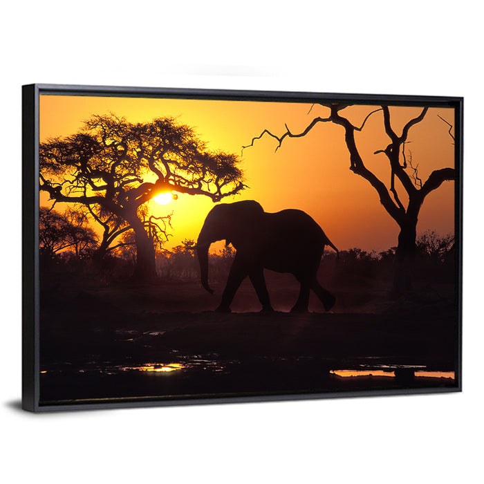 Elephant at Sunset Wall Art as a framed canvas