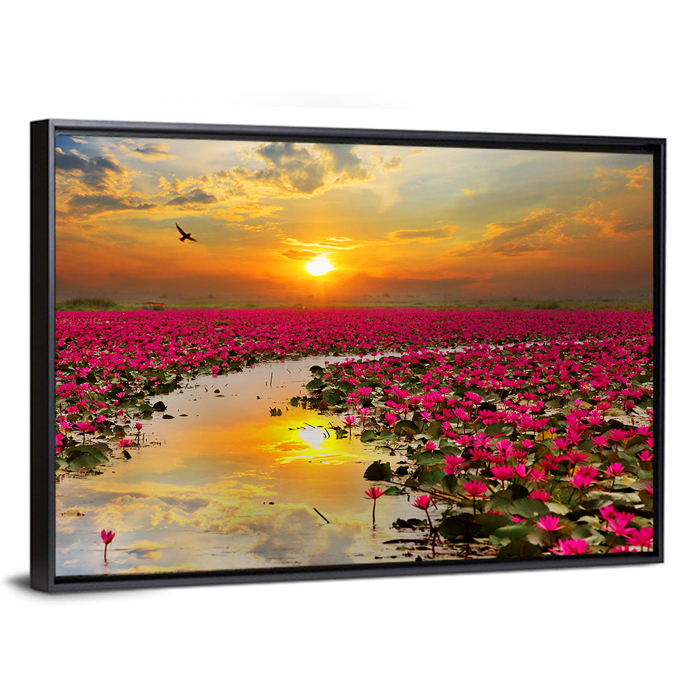 Golden Hour Lotus Field Wall Art