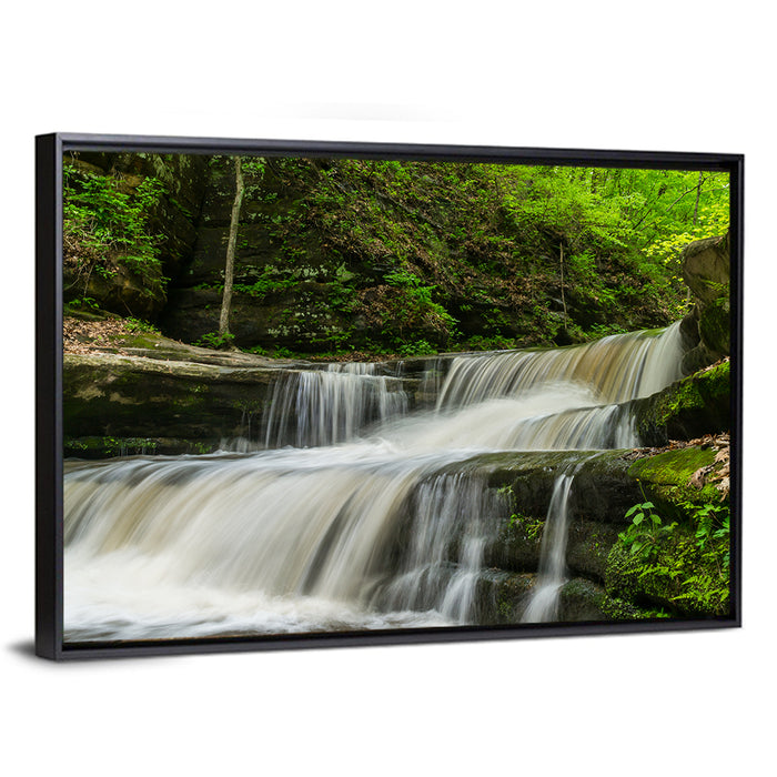 Matthiessen Forest Cascade Wall Art as a framed canvas