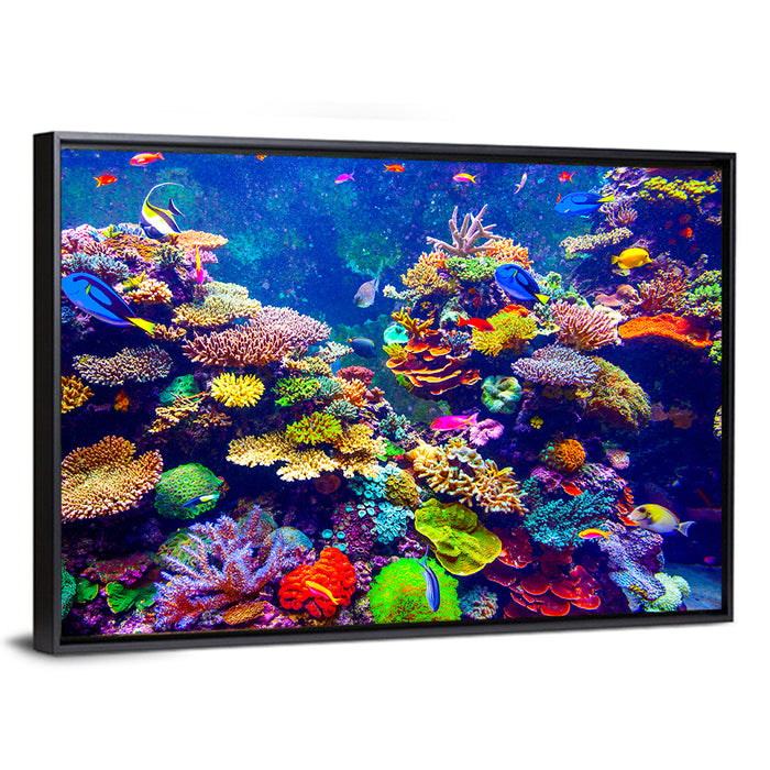 Tropical Coral Reef Aquarium Wall Art as a framed canvas