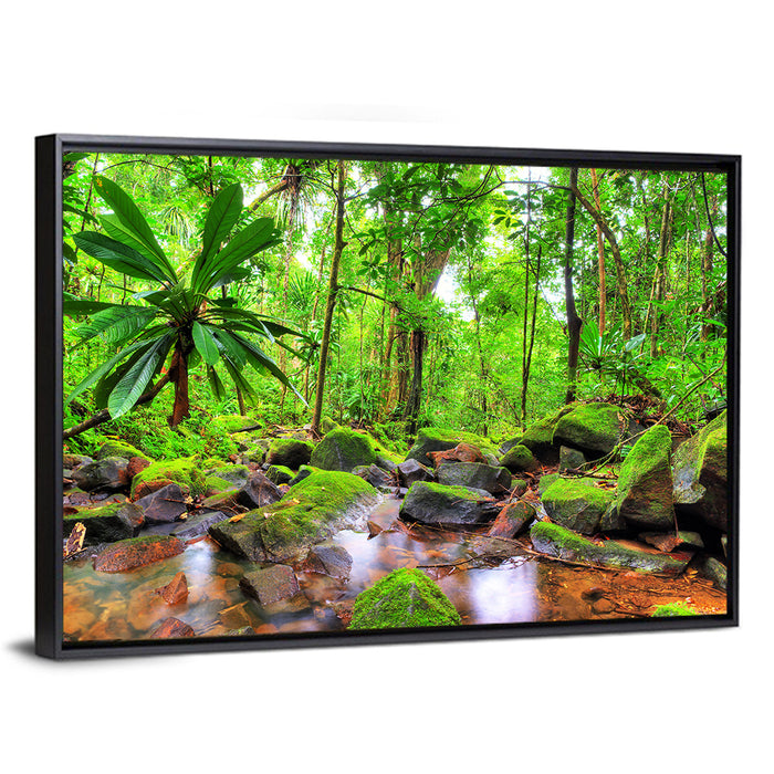 Mossy Rainforest Stream Wall Art as a framed canvas