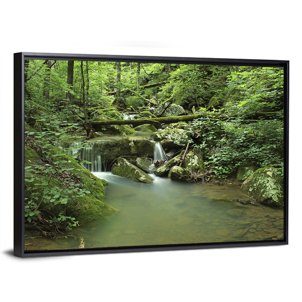 Arkansas Forest Stream Wall Art