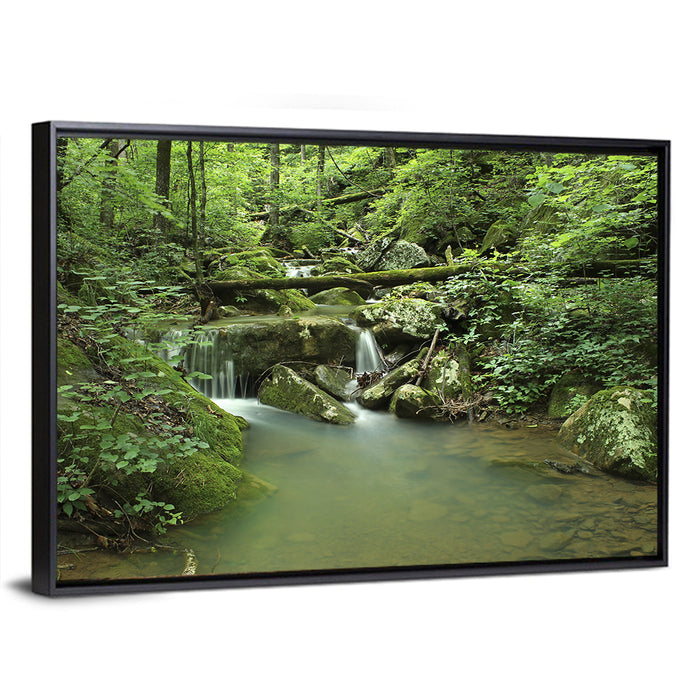 Arkansas Forest Stream Wall Art as a framed canvas