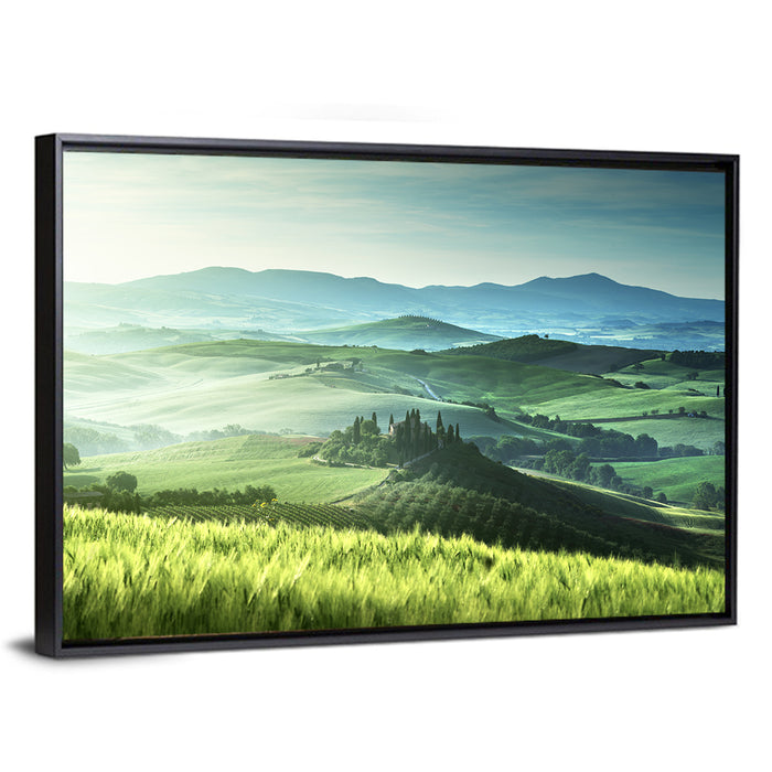 Misty Rolling Hills with Cypresses Wall Art as a framed canvas