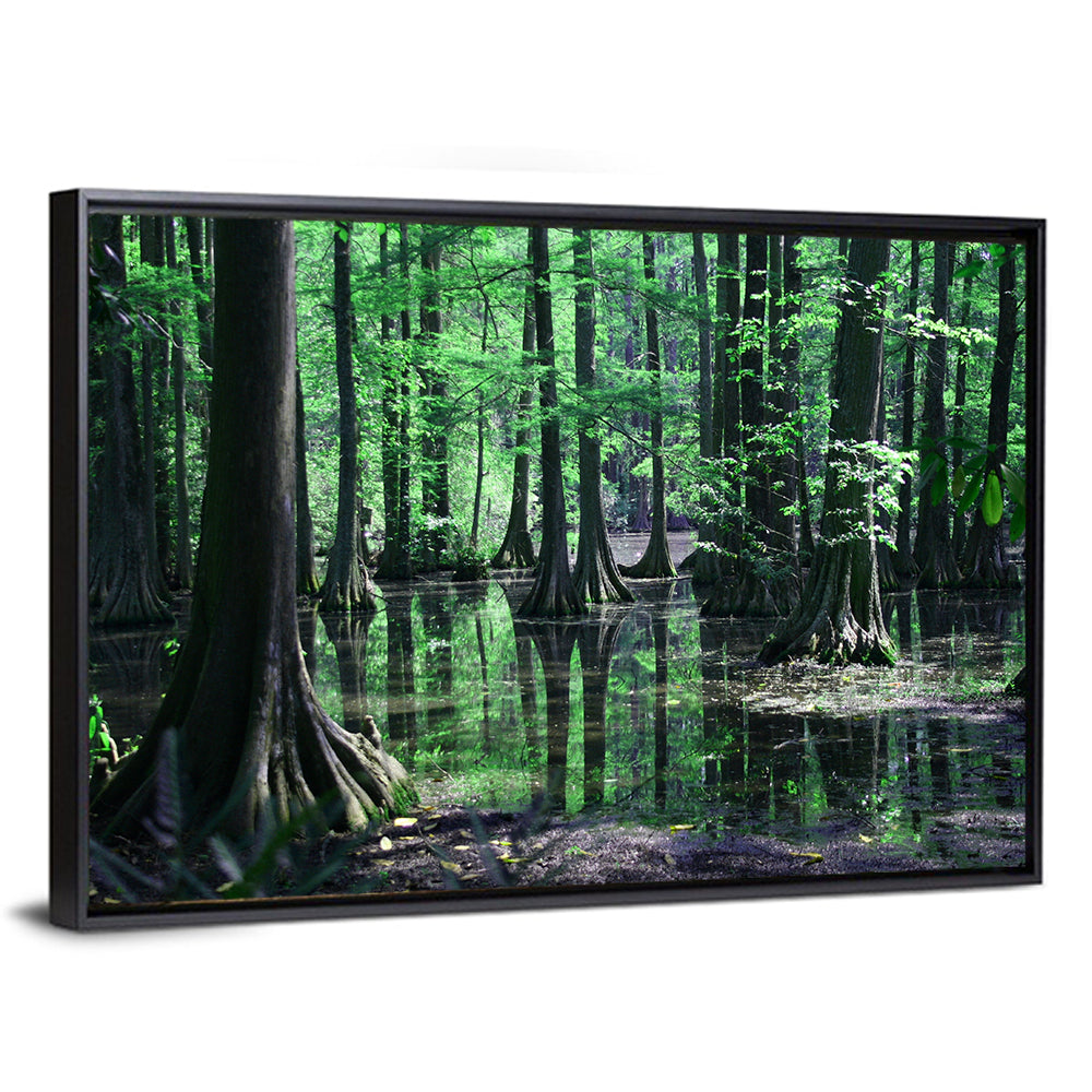 Congaree Swamp Reflection Wall Art