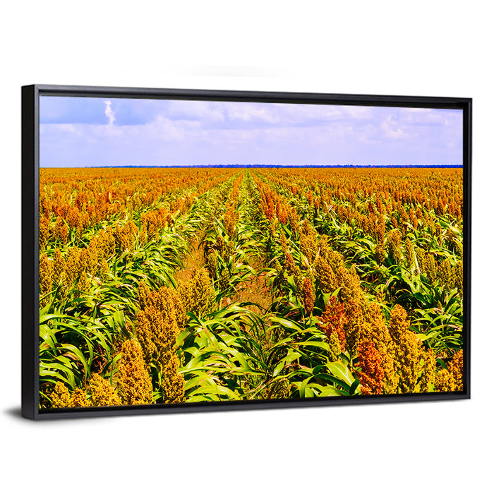 Sorghum Field Wall Art as a framed canvas