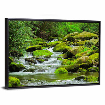Cascading Mountain Stream Wall Art
