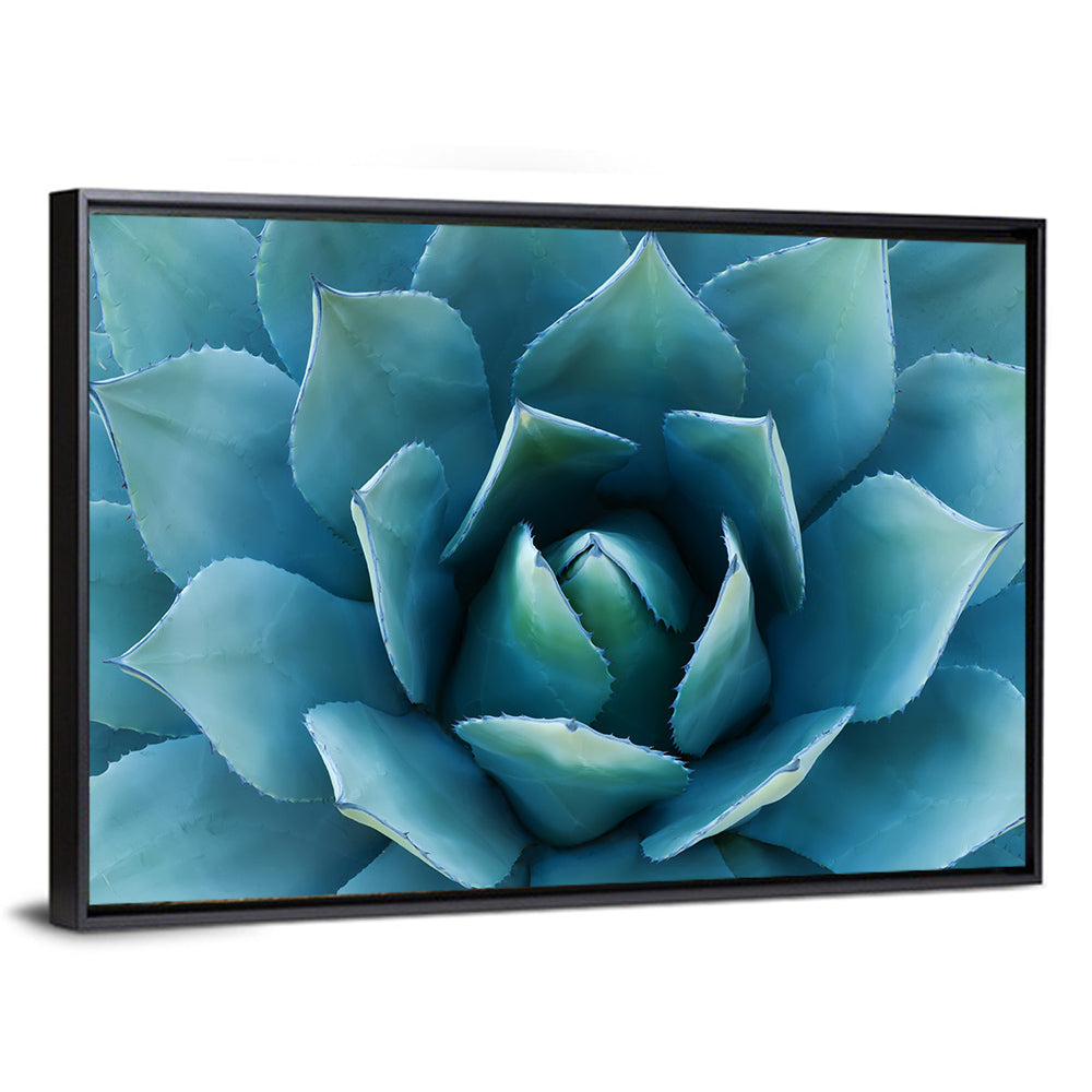 Spiral Agave Macro Wall Art