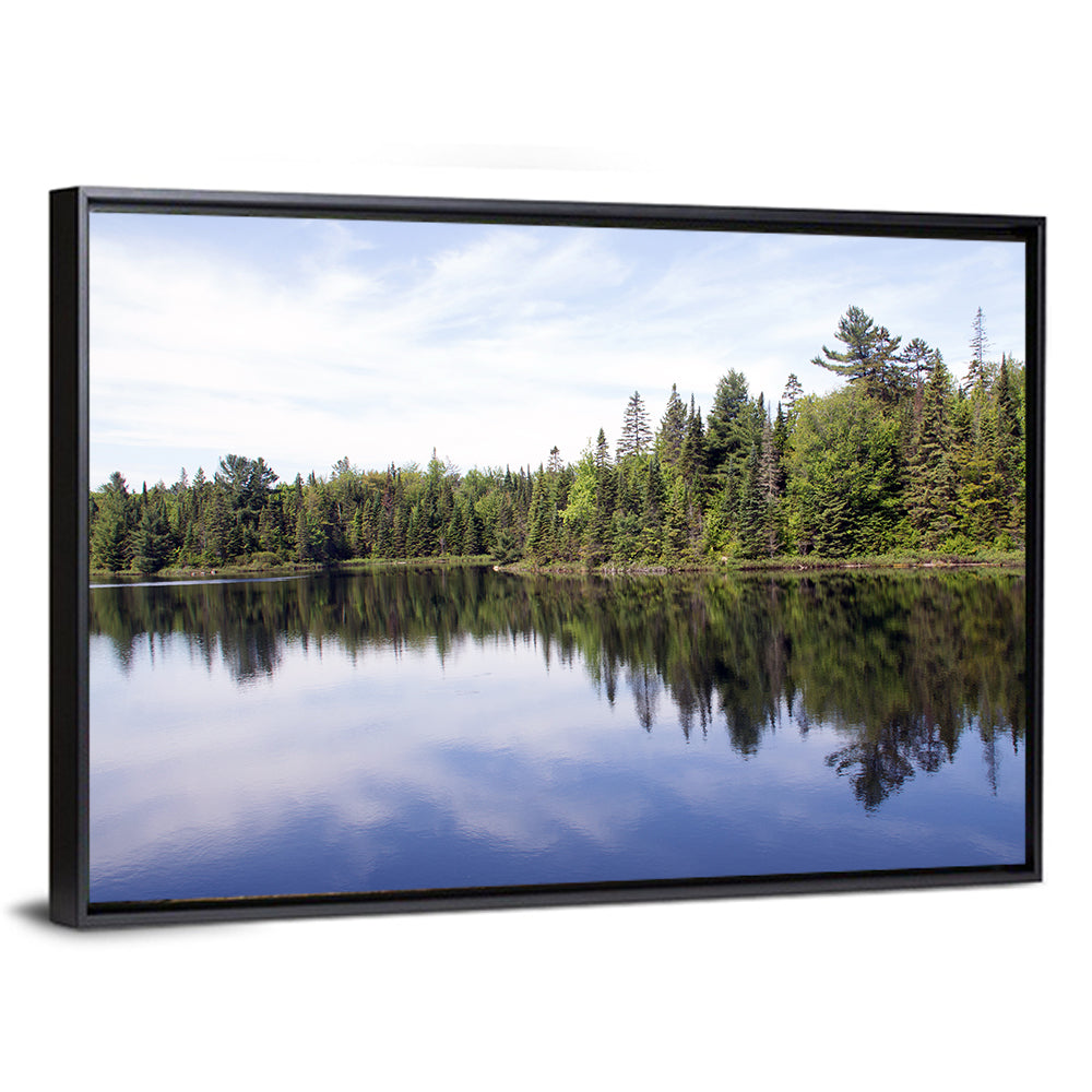 Peck Lake Shoreline Reflection Wall Art