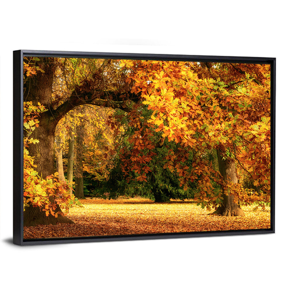 Autumn Park Oaks Wall Art