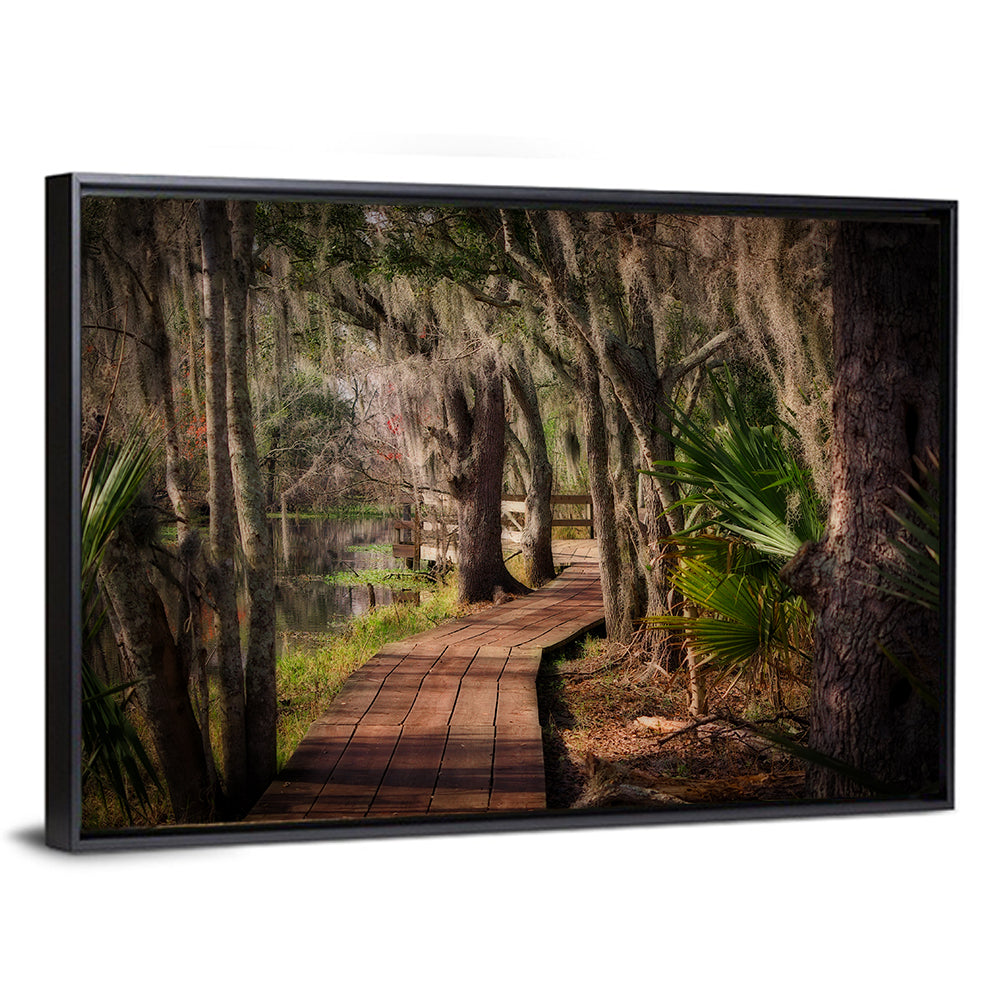 Louisiana Swamp Boardwalk Wall Art