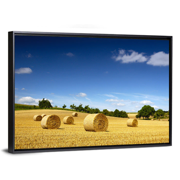 Late Summer Straw Bales Wall Art as a framed canvas