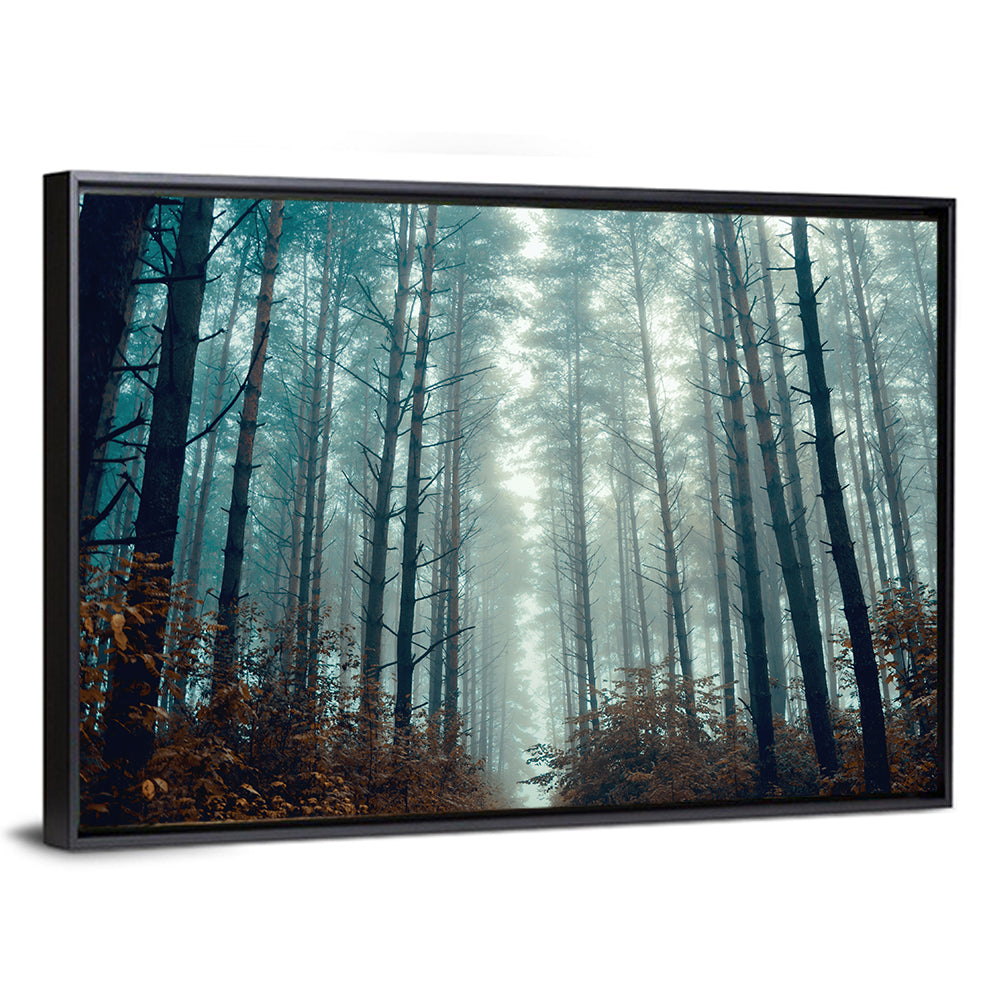 Mystic Forest Wall Art