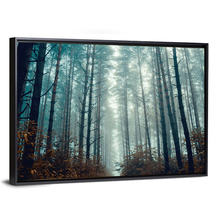 Misty Pine Forest Wall Art as a framed canvas