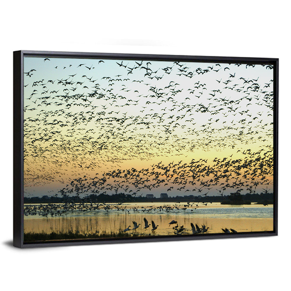 Snow Geese Over River Wall Art