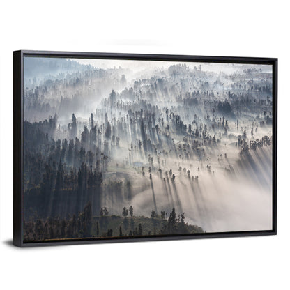 Foggy Forest Sunrise Wall Art