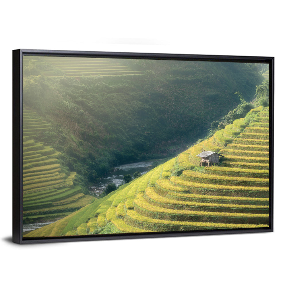 Golden Rice Terraces Wall Art