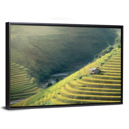 Rice Fields Wall Art