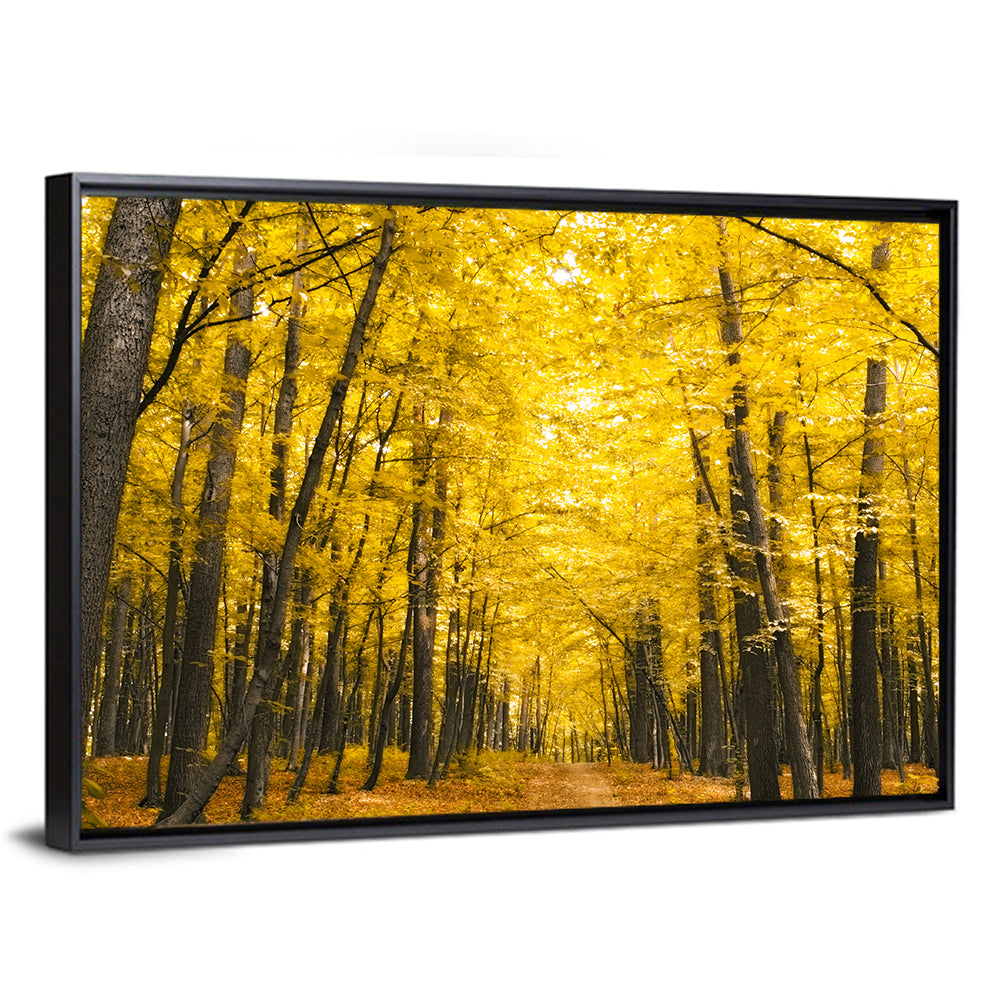 Yellow Autumn Forest Path Wall Art
