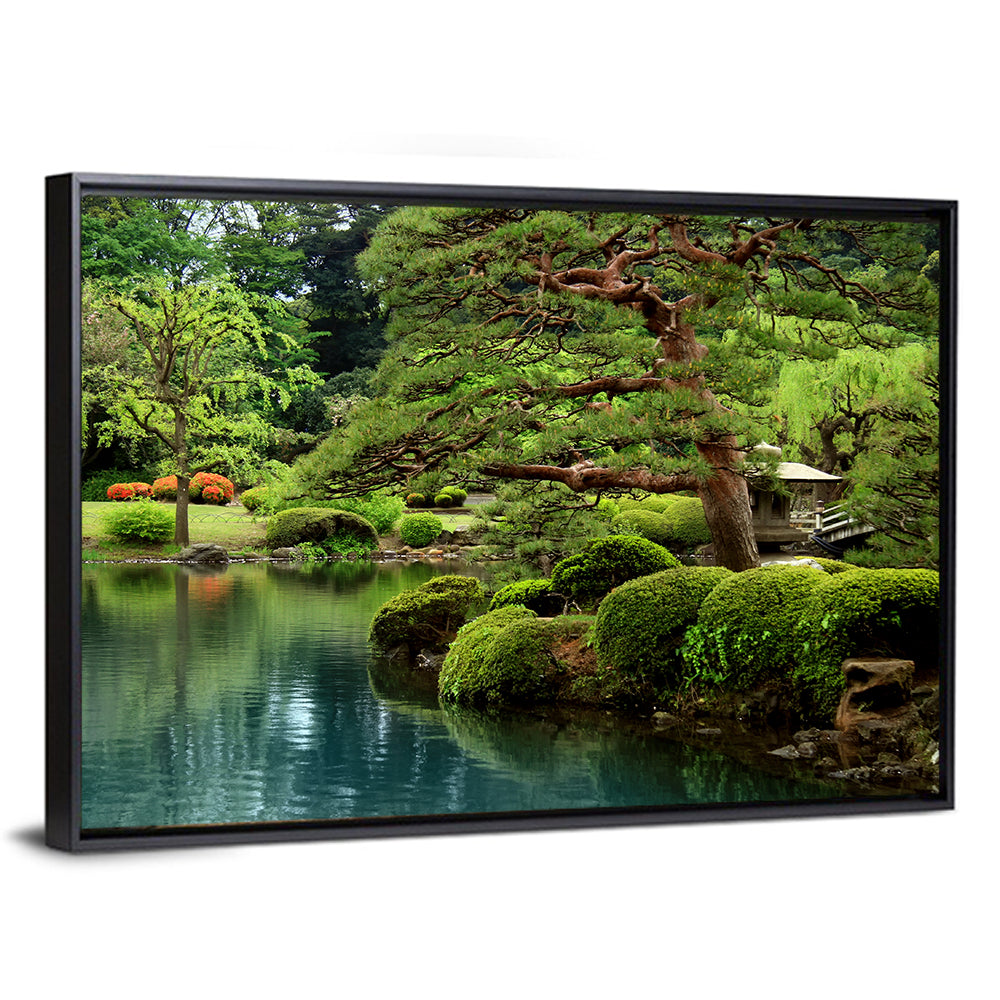 Bonsai Pine Over Tranquil Pond Wall Art