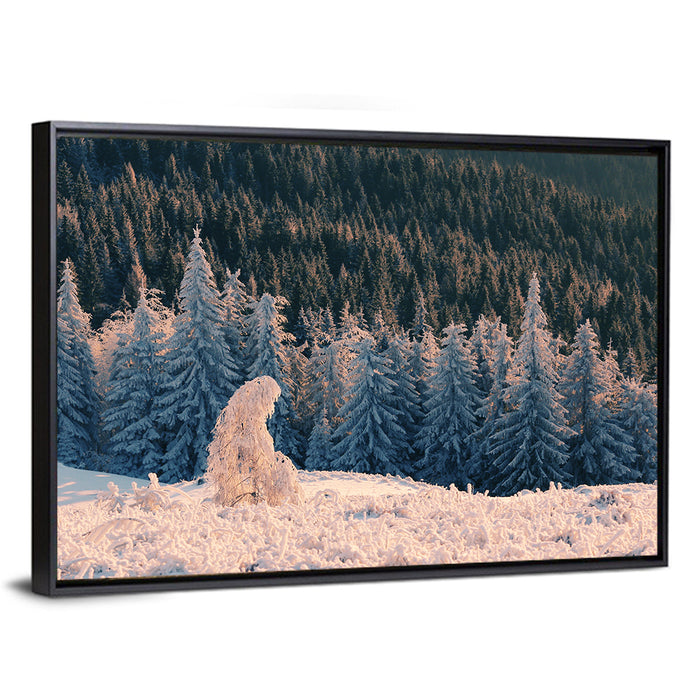 Carpathian Forest at Golden Hour Wall Art as a framed canvas