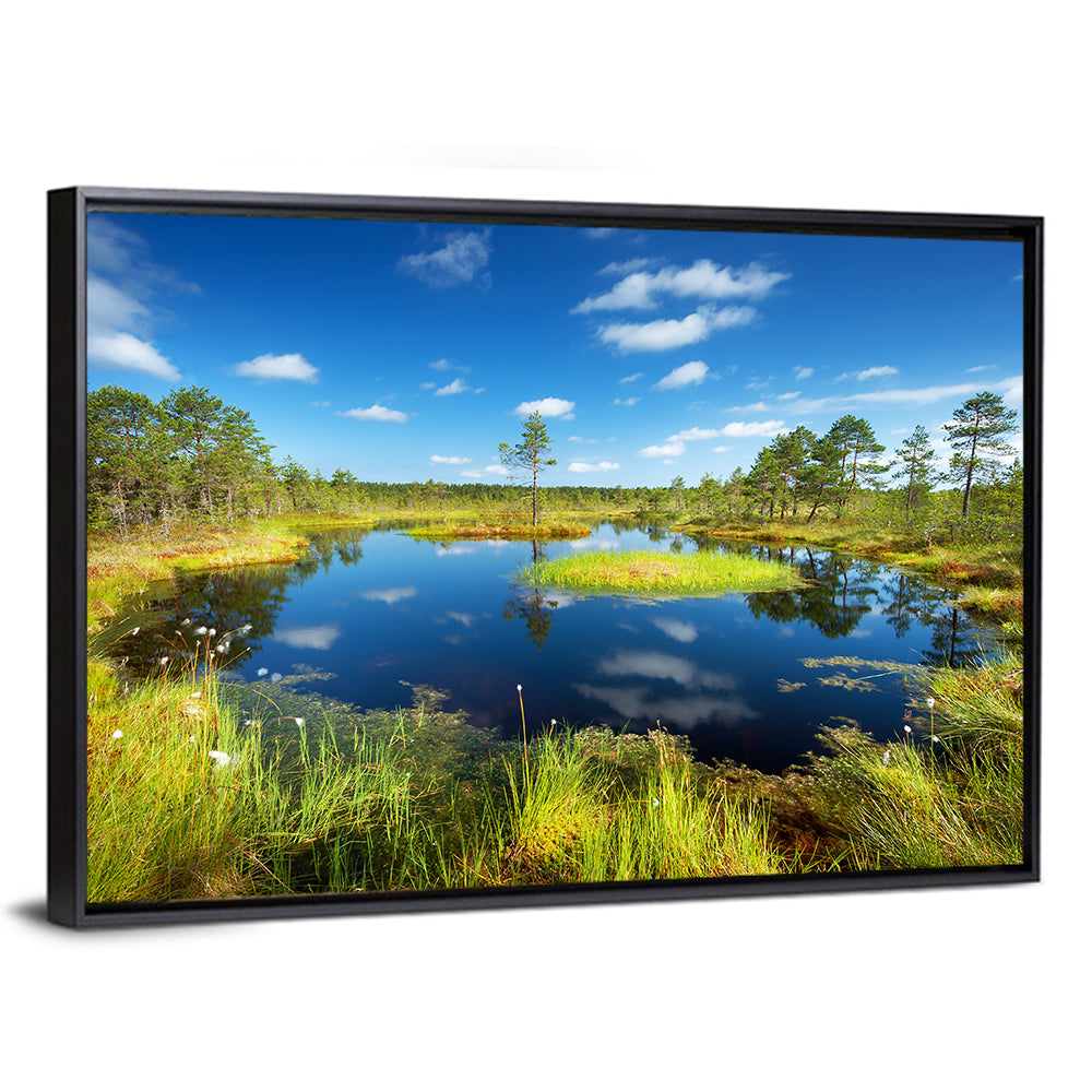 Viru Bogs Reflections Wall Art