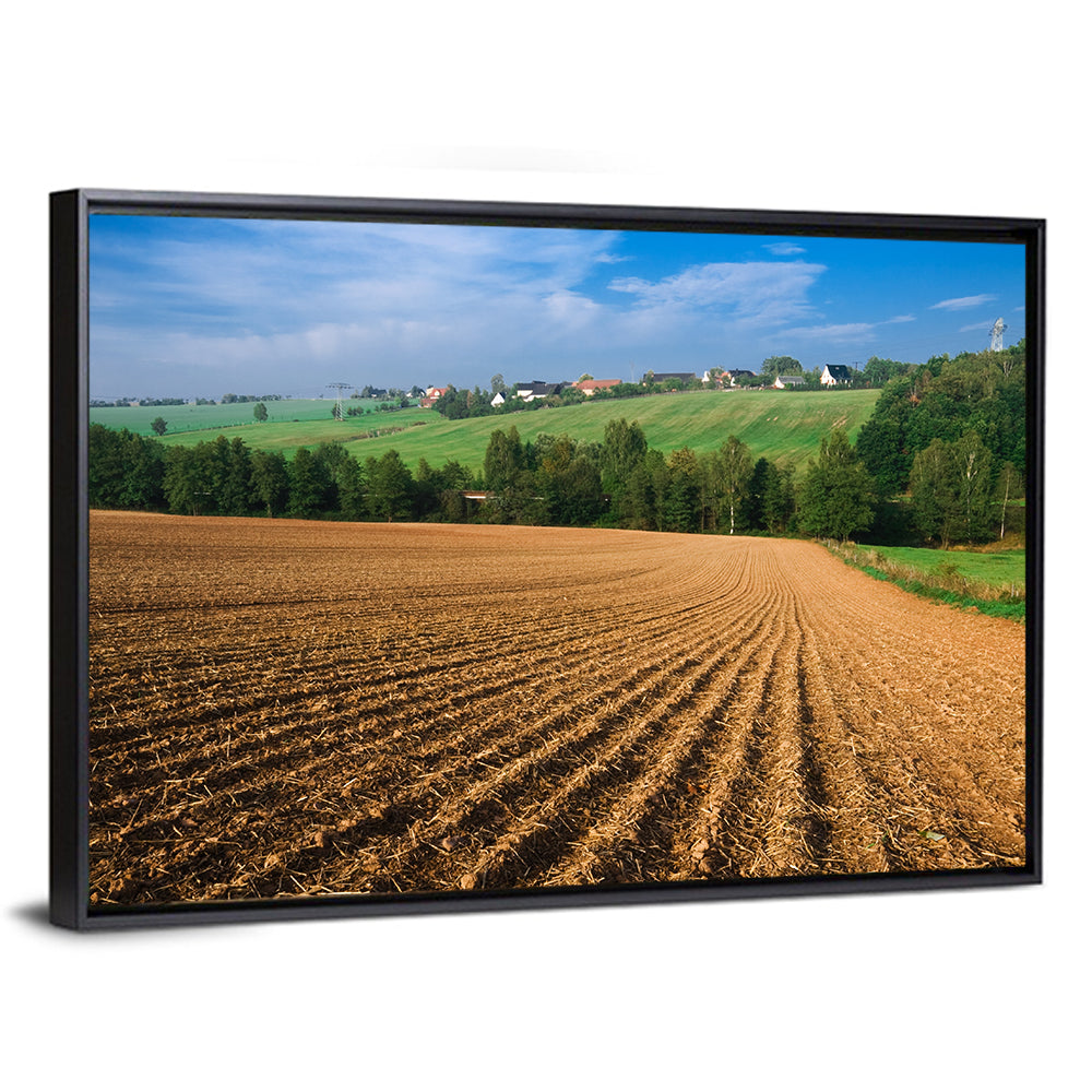 Kansas Wheat Fields Wall Art