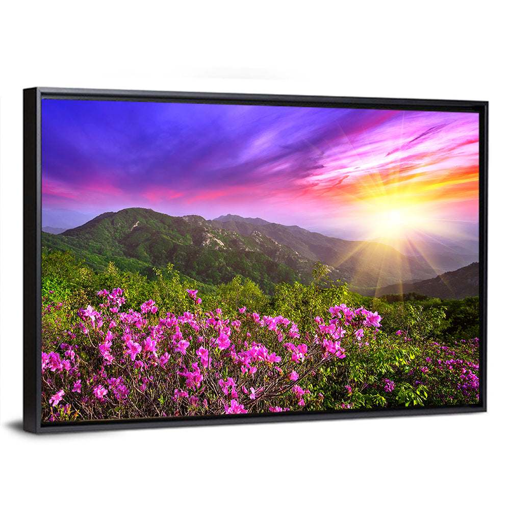 Hwangmaesan Mountain Sunset Wall Art