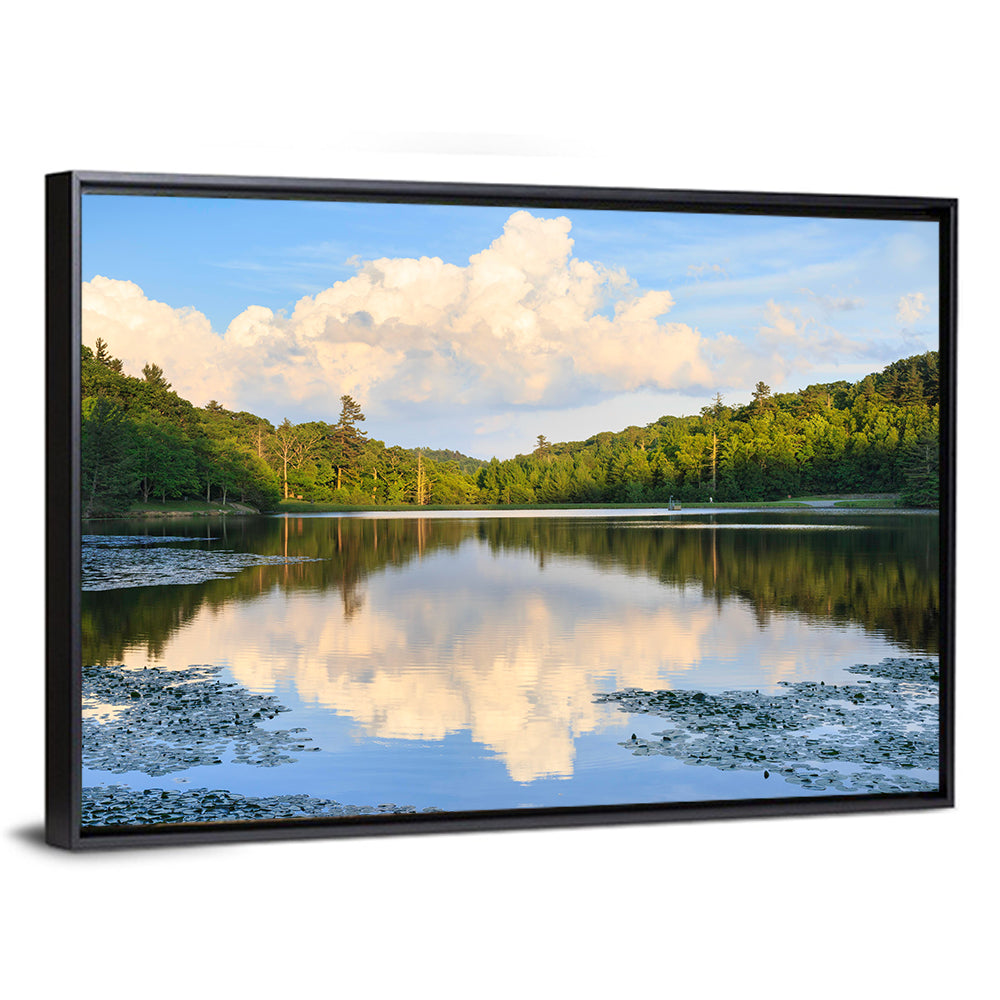 Bass Lake Reflection Wall Art