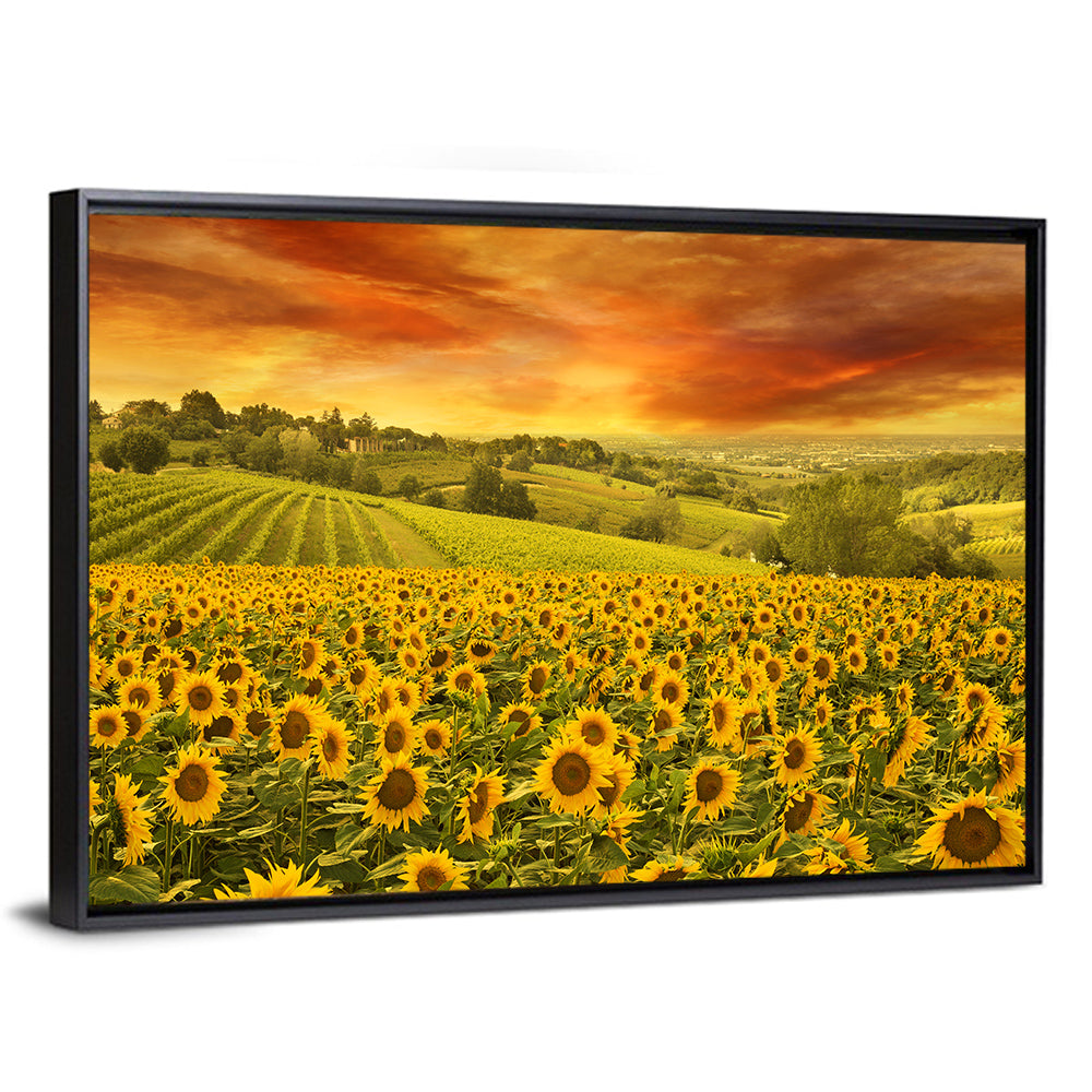 Sunflower Field at Golden Hour Wall Art